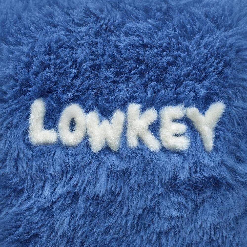 Cover lagu B THE HOOD - Lowkey di Wallkpop