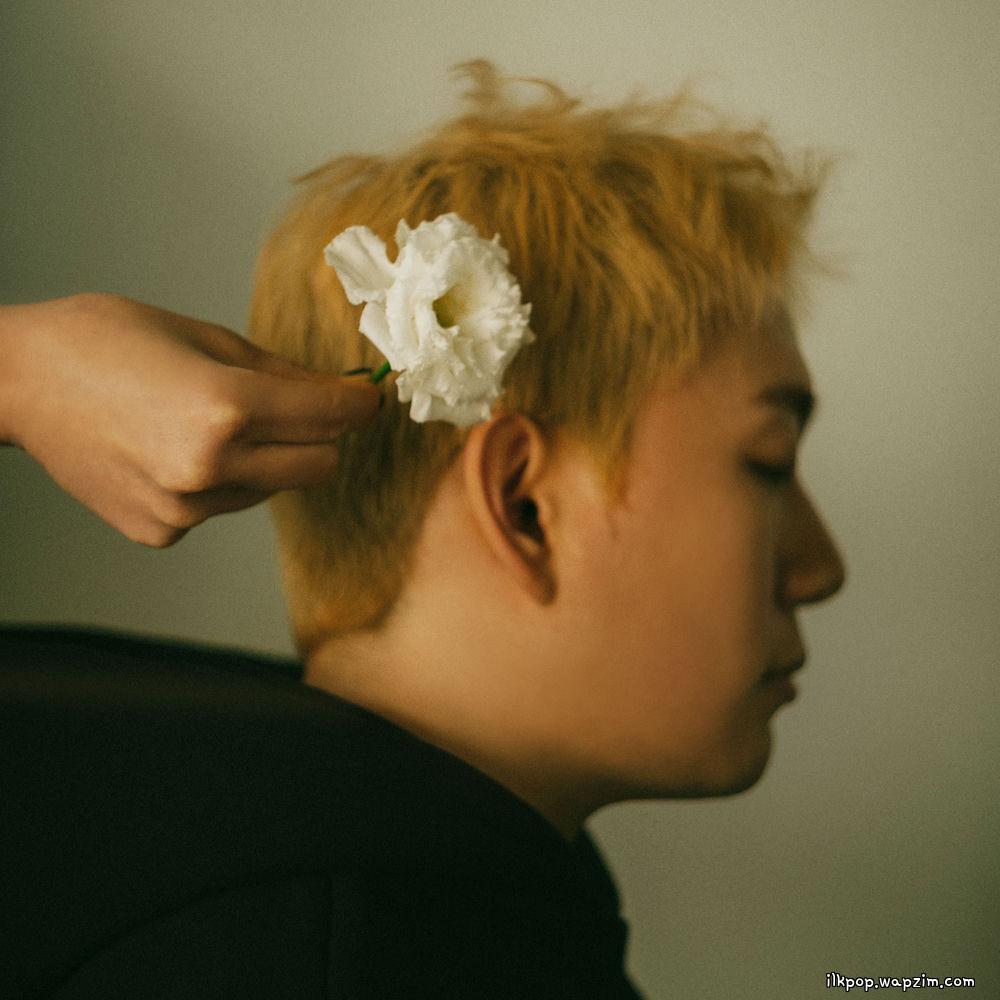 Cover lagu Bernard Park - 곁에 있어 (Stayed) di Wallkpop