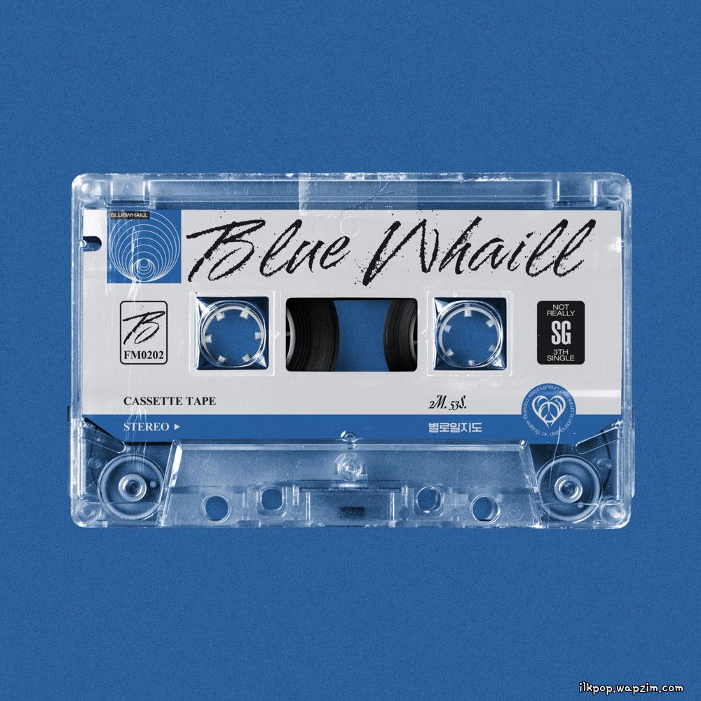 Cover lagu BLUE WHAILL - 별로일지도 (Maybe Nothing) di Wallkpop