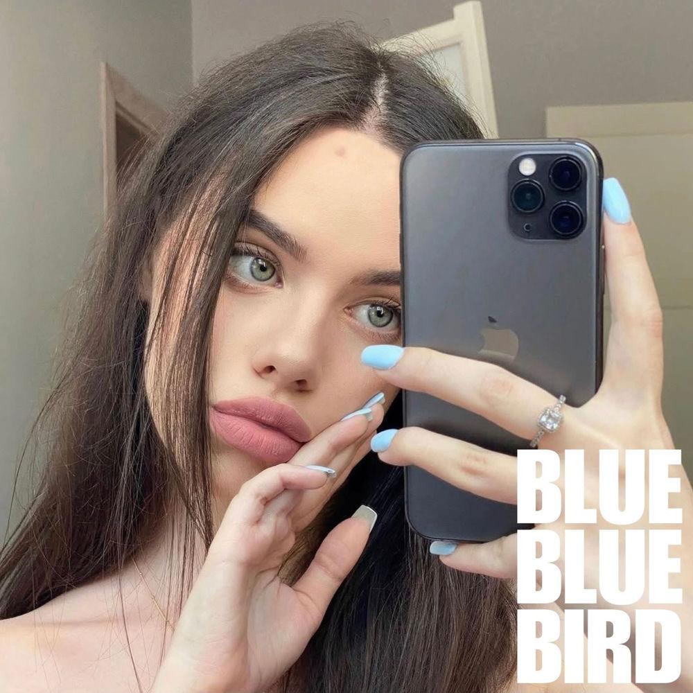 Cover lagu bluebluebird - GOODBYEMYLOVE di Wallkpop