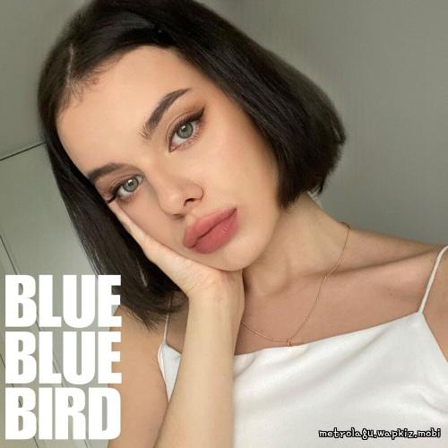 Cover lagu bluebluebird - midsummer di Wallkpop