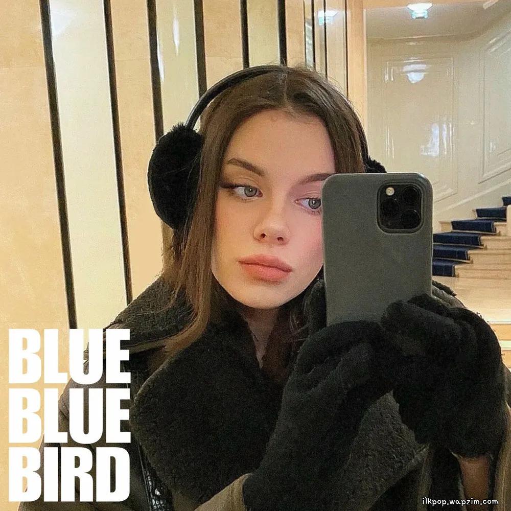 Cover lagu bluebluebird - white di Wallkpop