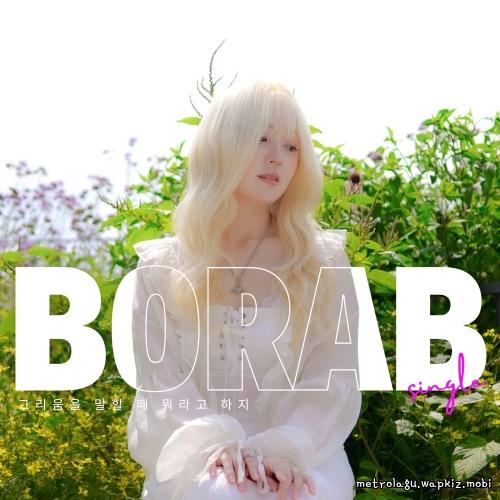Cover lagu BORA B - 그리움을 말할 때 뭐라고 하지 (Missing Words) di Wallkpop