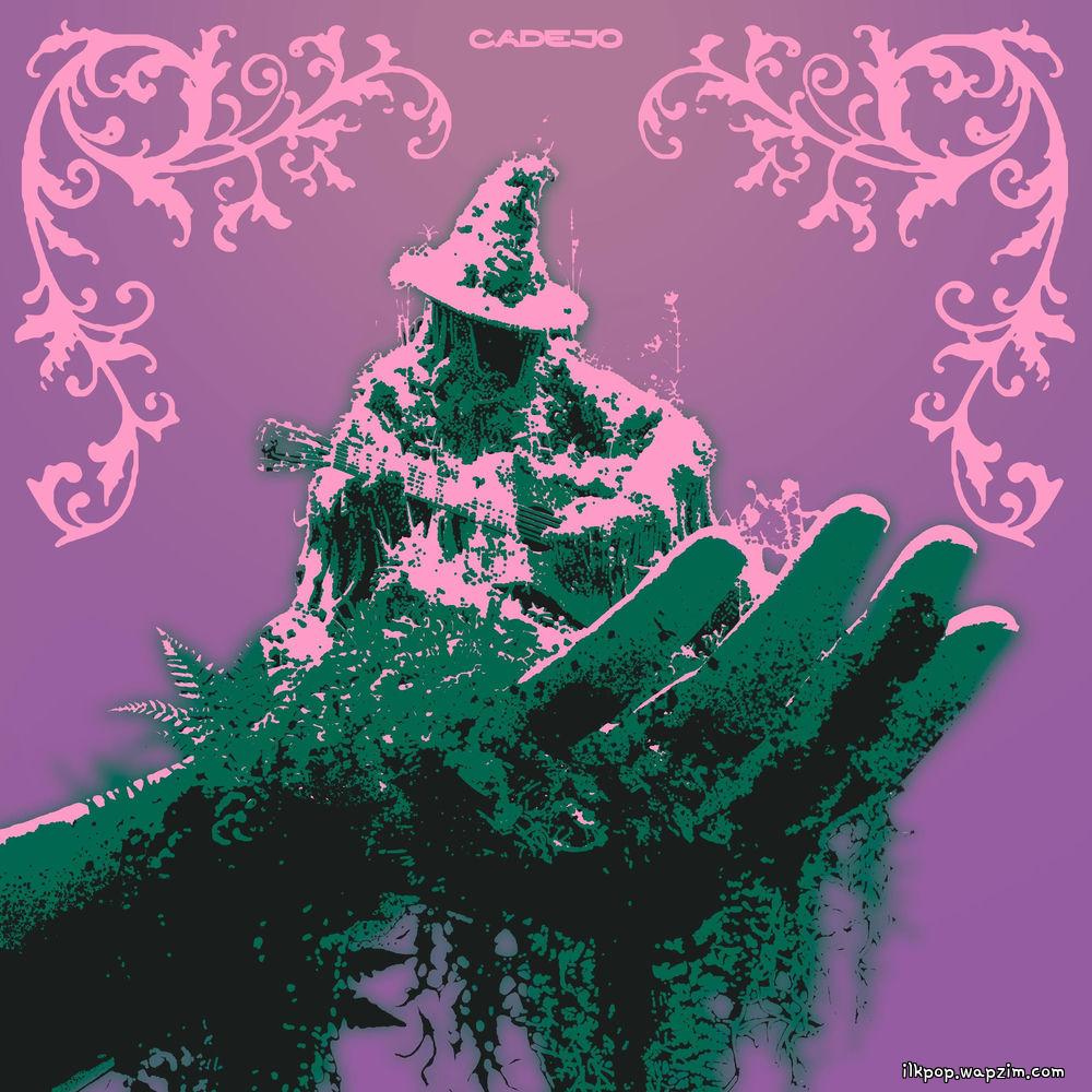 Cover lagu CADEJO - 장중지림 掌中之林 (in your forest) di Wallkpop