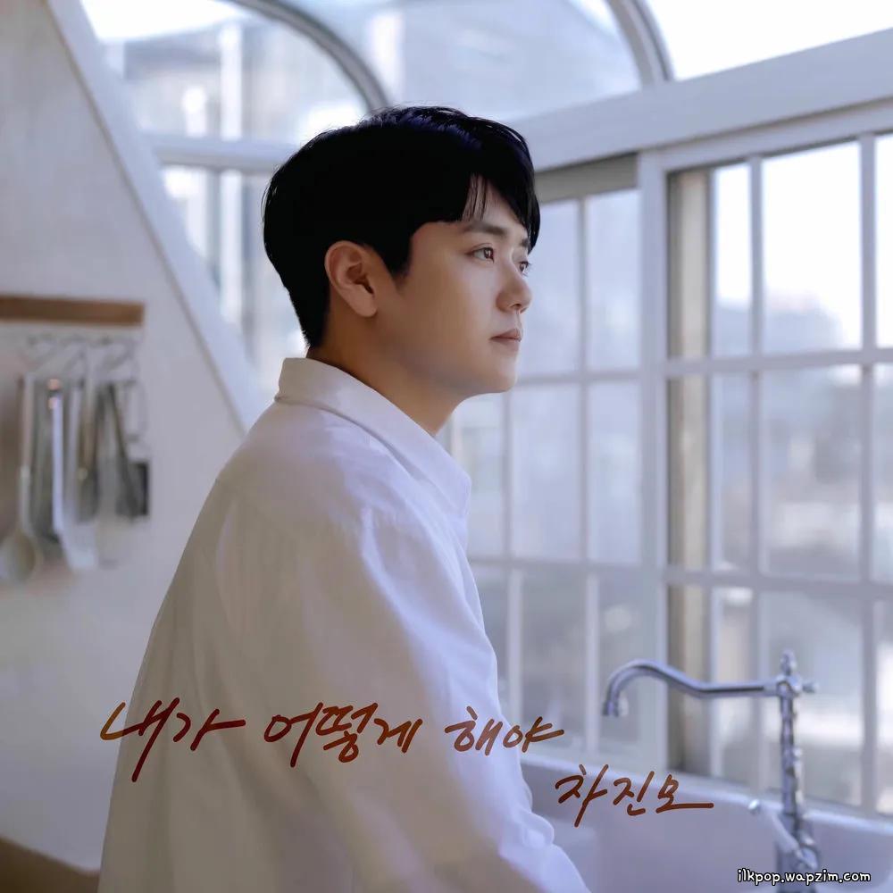 Cover lagu Cha Jin Mo - 내가 어떻게 해야 (What Can I Do for You) di Wallkpop