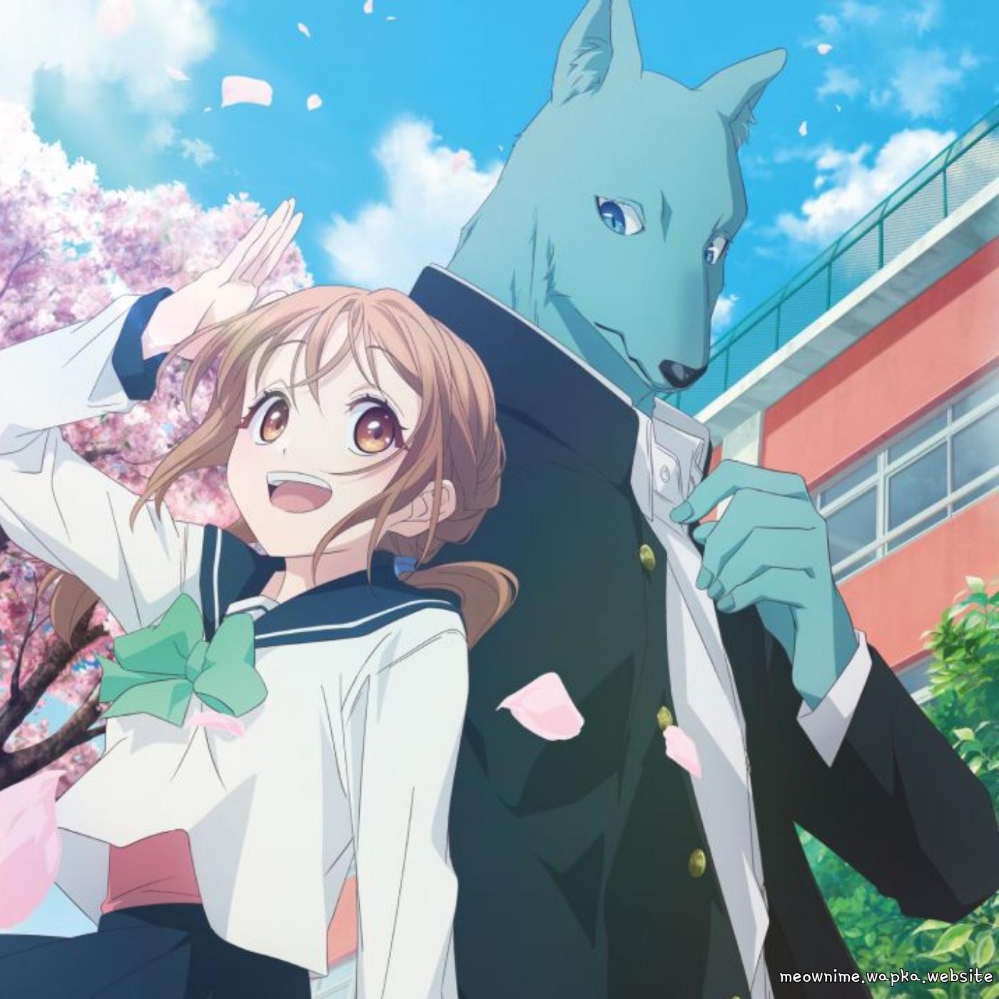 Cover lagu CHiCO with HoneyWorks - Kusuguttai. [Opening Kimi to Koete Koi ni Naru] di Wallkpop