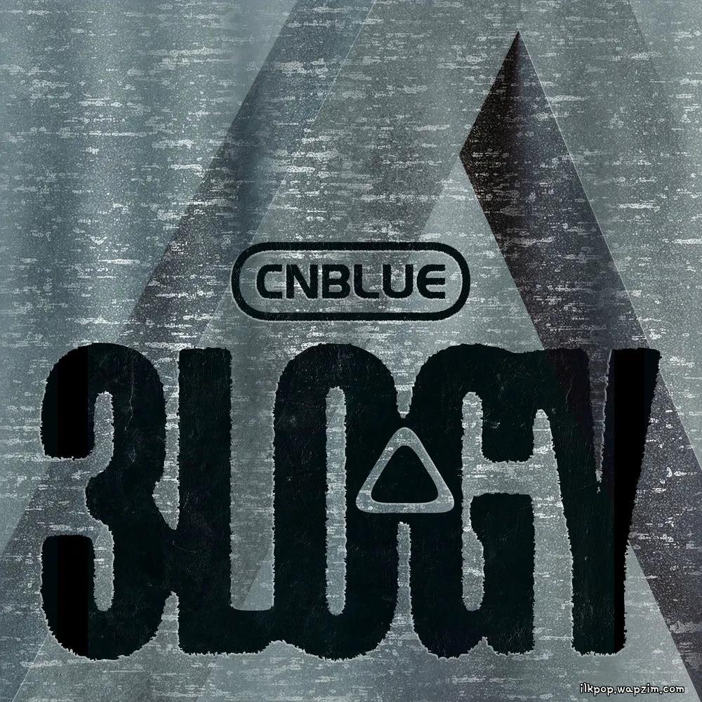 Cover lagu CNBLUE - 기억의 온도 (The Temperature of Memory) di Wallkpop