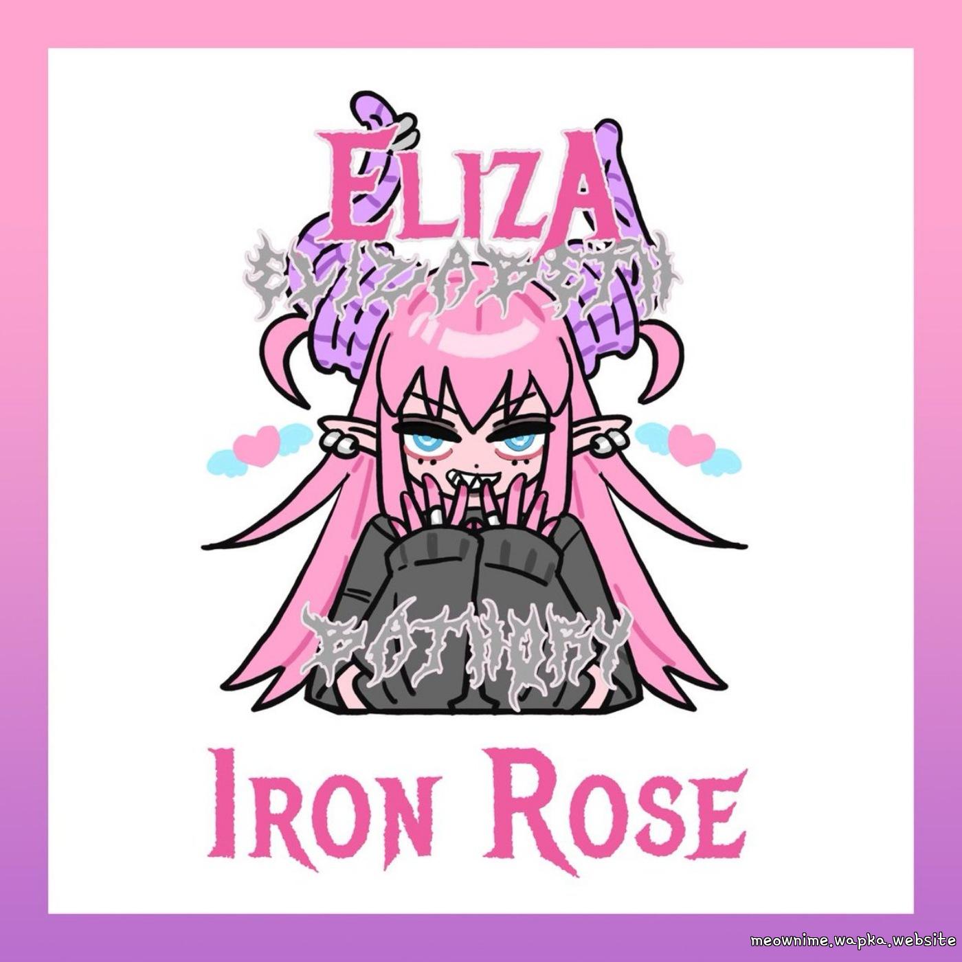 Cover lagu Elizabeth Báthory (CV: Rumi Ookubo) - Iron Rose [Theme Song Fate/Grand Order] di Wallkpop