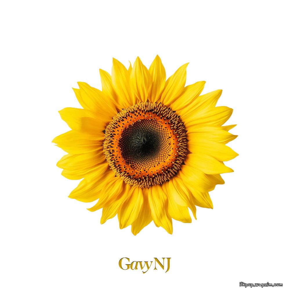 Cover lagu Gavy N.J. - 해바라기 (Sunflower) (2026) di Wallkpop
