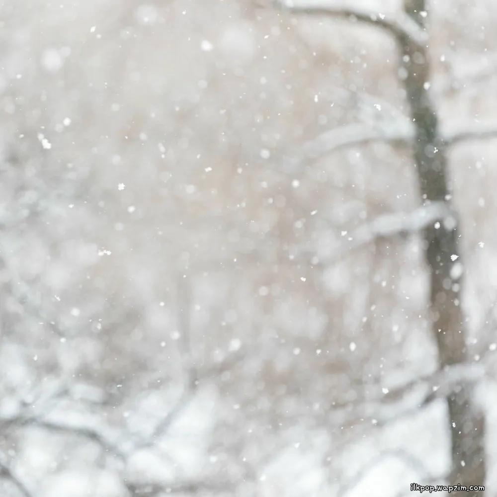Cover lagu Grynia - 하루 종일 눈이 내려요 (It's snowing all day) di Wallkpop