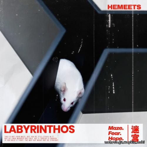 Cover lagu HeMeets - 라비린토스 (Labyrinthos) di Wallkpop