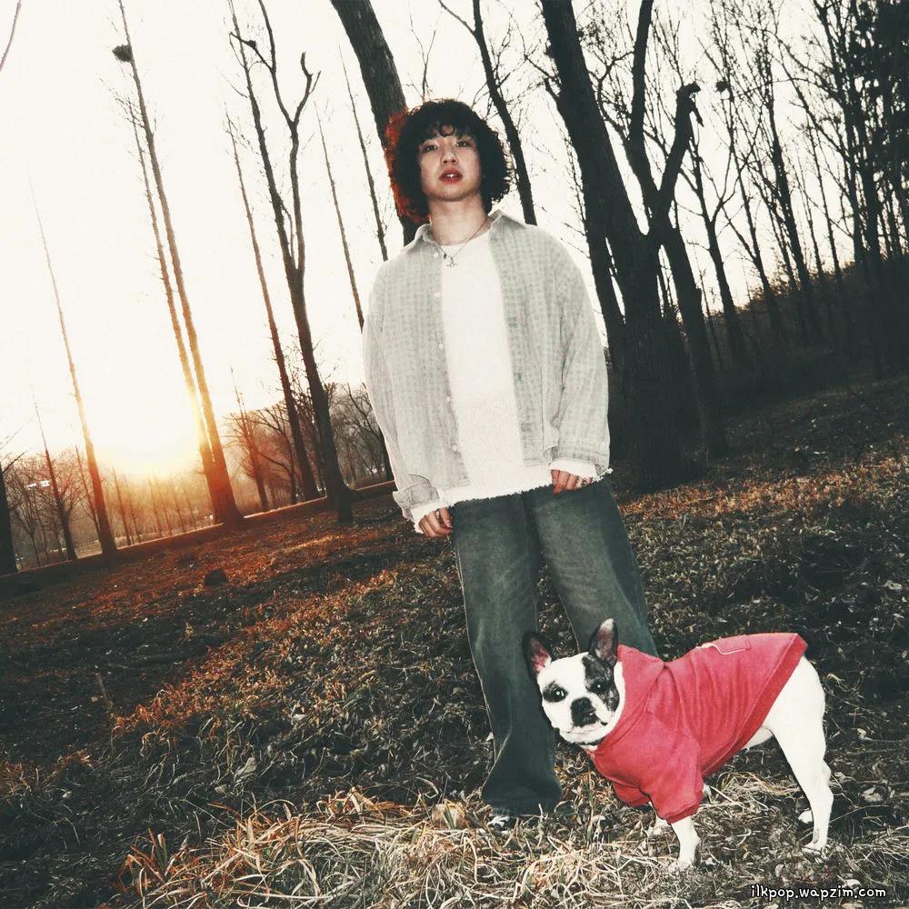 Cover lagu Hollow Young - 이대로 있어 줘 (Stay Like This) di Wallkpop