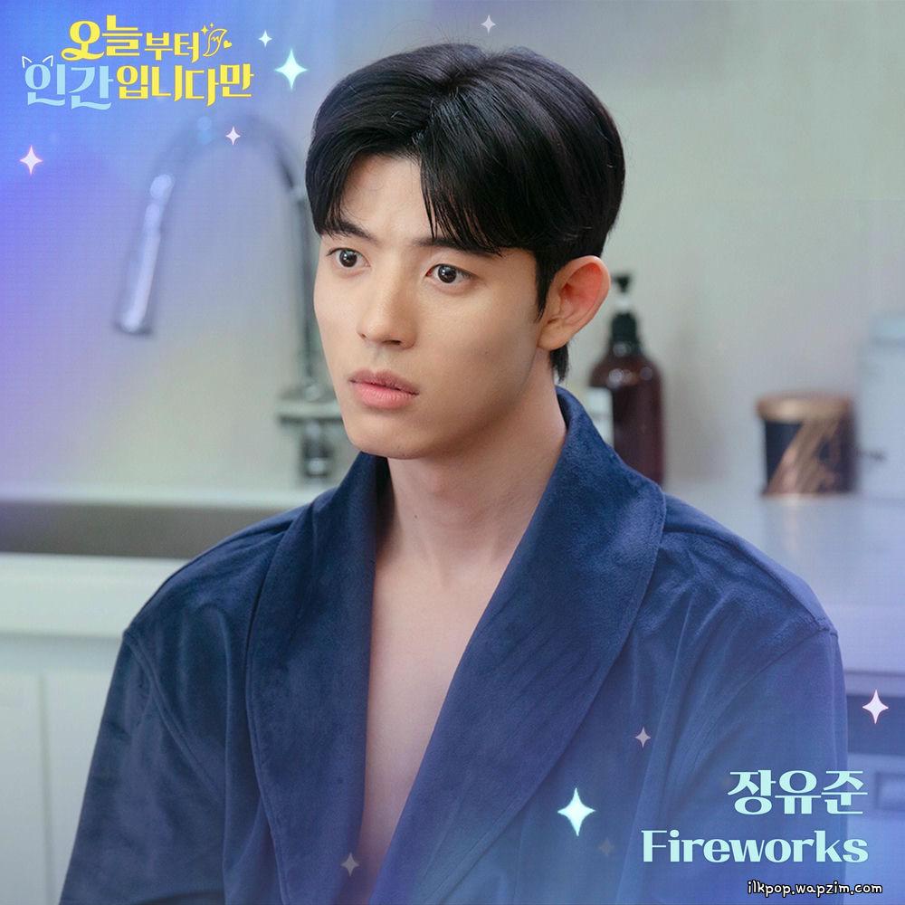 Cover lagu Jang Yoo Joon - Fireworks di Wallkpop