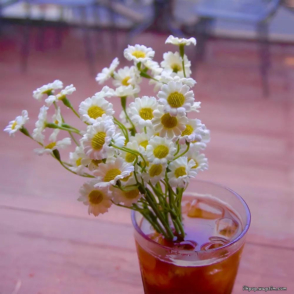 Cover lagu JayBrown - 내 마음은 커피 (Coffee and a Daisy) di Wallkpop