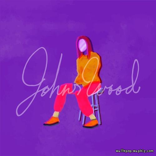 Cover lagu JOHNSWOOD - Plastic Paradise di Wallkpop