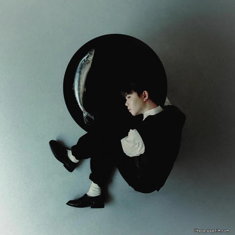 Cover lagu Kim Young Jun - * di Wallkpop
