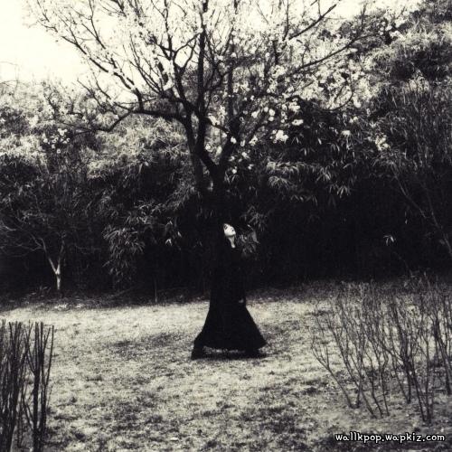 Cover lagu Lee Seol Ah - 언어도단 (Beyond Words) (feat. HONK) di Wallkpop