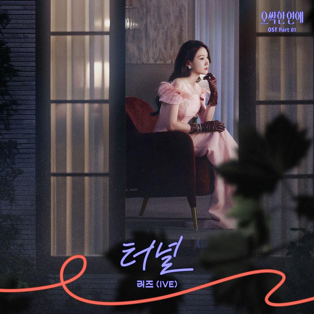 Cover LIZ (IVE) - 터널 (Tunnel)