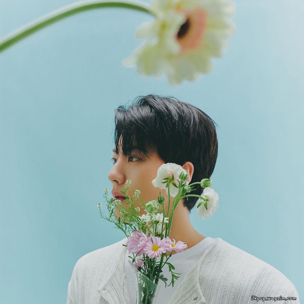 Cover lagu Park Je Up - 사랑인거죠 (Love is here) di Wallkpop