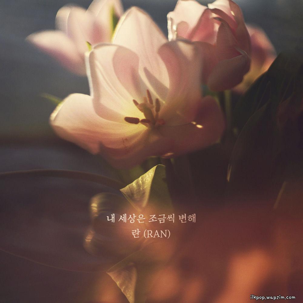 Cover lagu Ran - 내 세상은 조금씩 변해 (My world is slowly changing) di Wallkpop
