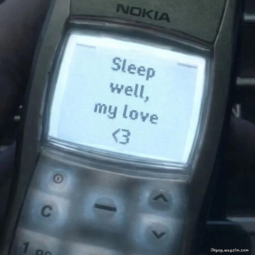 Cover lagu ROSESIA & StoneSoWavy! - Sleep well, my love di Wallkpop