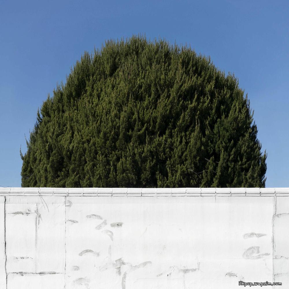 Cover lagu Sanha - 이 세상 괜한 걱정 (No Worry Salon) di Wallkpop