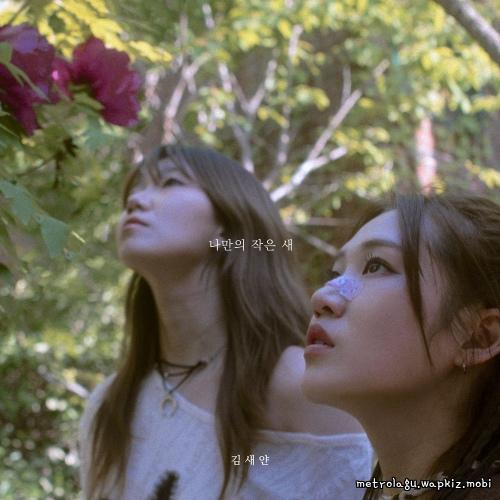Cover lagu Seyan Kim - 나만의 작은 새 (My Little Bird) (feat. Cho Seungyeon) di Wallkpop