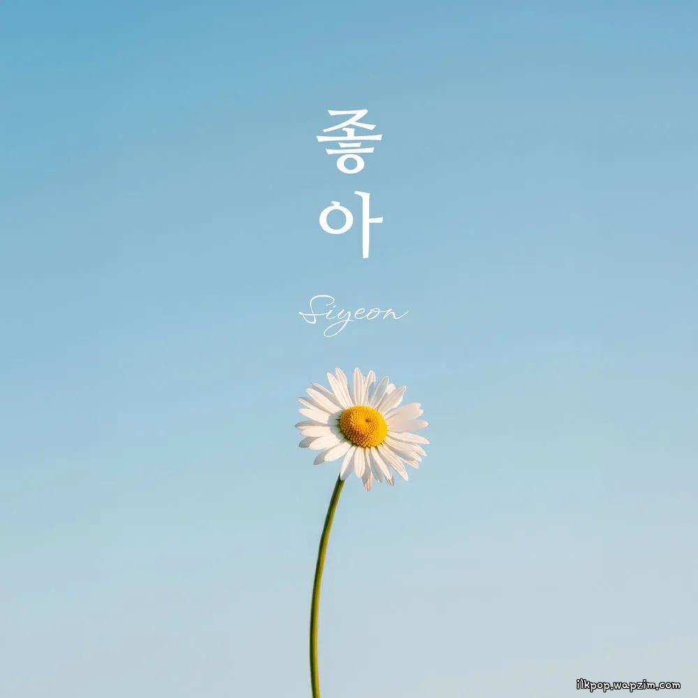 Cover lagu Si Yeon - 좋아 (Spring Love) di Wallkpop