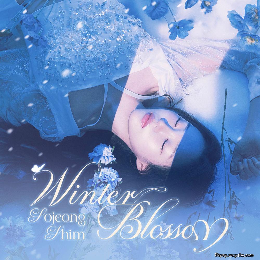 Cover lagu So Jeong Shim - Winter Blossom di Wallkpop