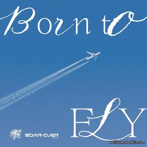 Cover lagu Soar-Over - Born to fly di Wallkpop