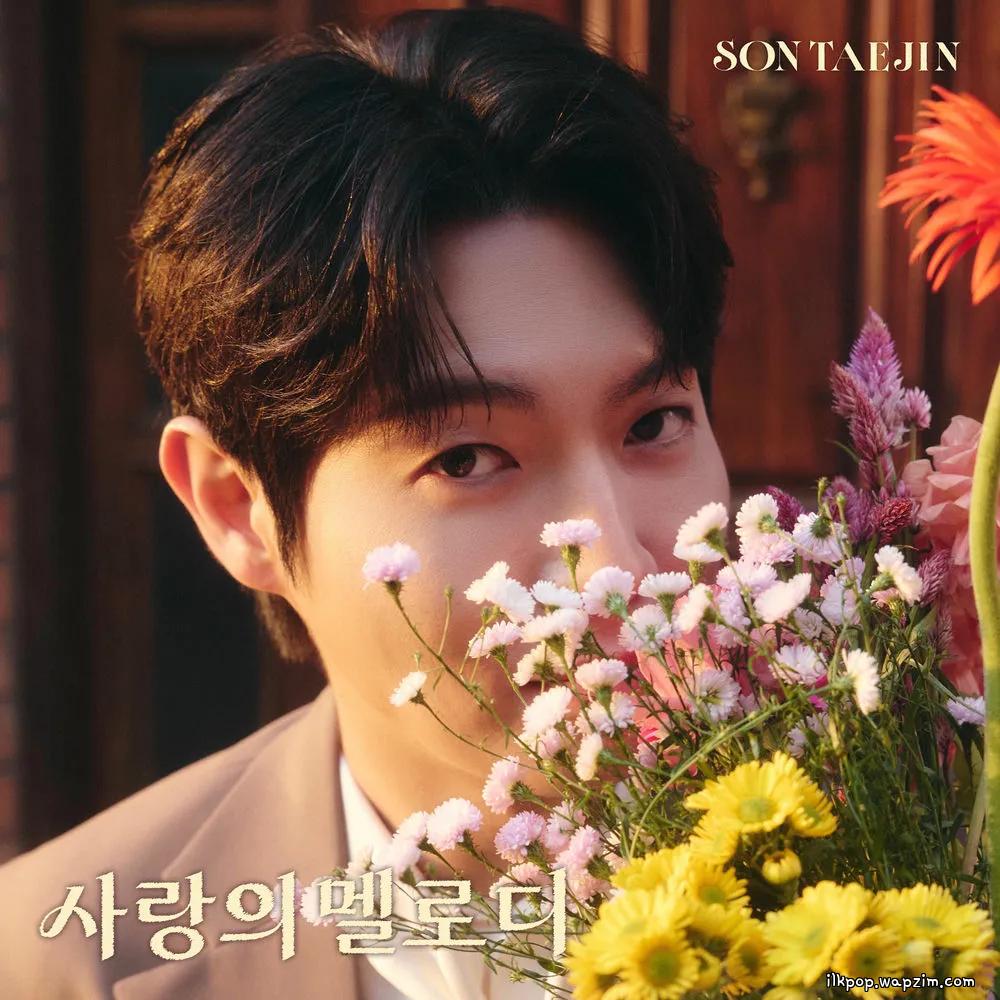 Cover lagu Son Tae Jin - 사랑의 멜로디 (Melody of Love) di Wallkpop