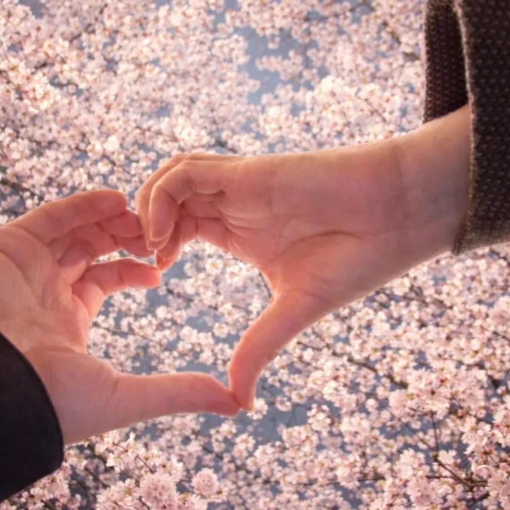 Cover lagu STEN - 봄이 된 이유 (Why Its Spring) (Feat. SE O) di Wallkpop