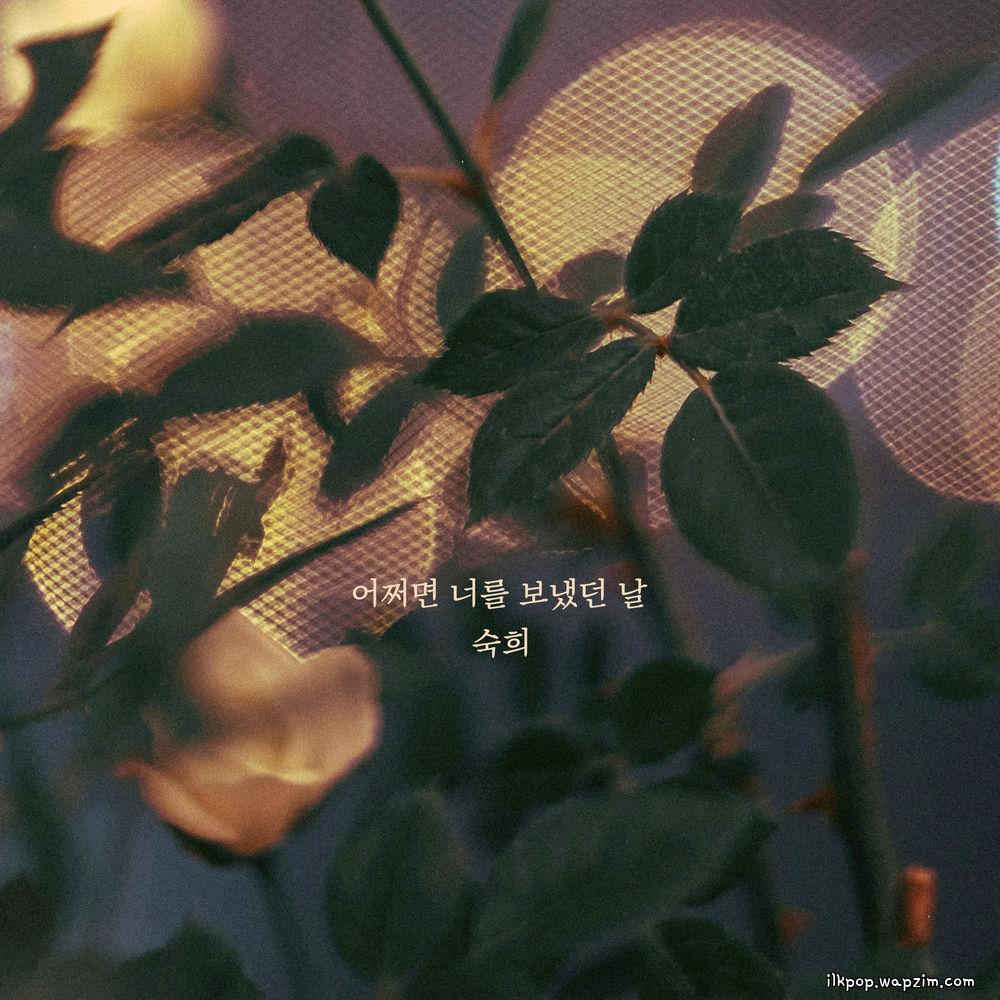 Cover lagu Suki - 어쩌면 너를 보냈던 날 (Maybe the day I let you go) di Wallkpop