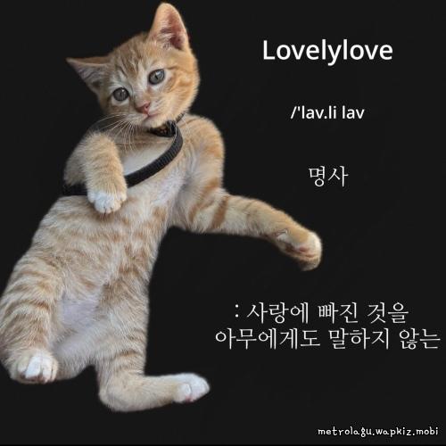 Cover lagu Sumgoyange - 사랑에 빠진 것을 아무에게도 말하지 않는 (Lovelylove) (Prod. Wuno) di Wallkpop