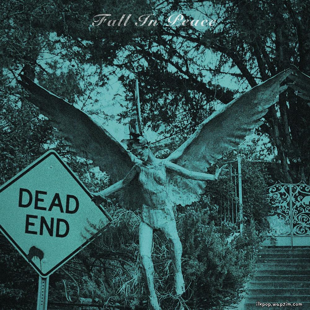 Cover lagu Super Joy Club - Fall In Peace di Wallkpop