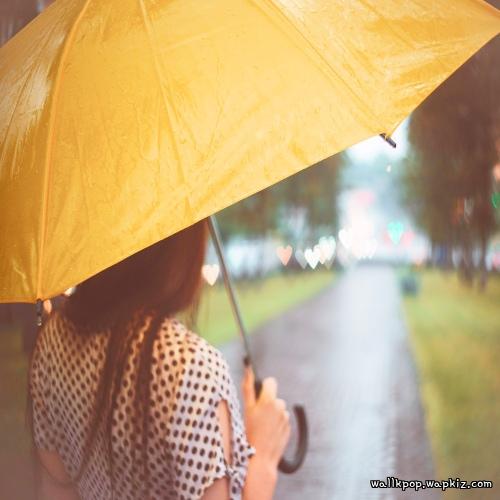 Cover lagu Susugar - 봄비가 내려와 (Spring rain is falling) di Wallkpop