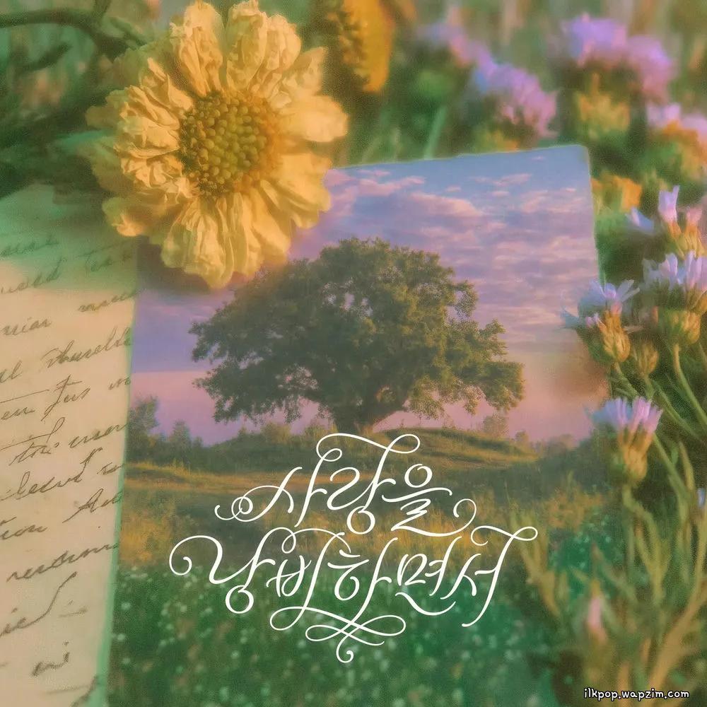 Cover lagu Sweden Laundry - 사랑을 낭비하면서 (Wasting Love) di Wallkpop