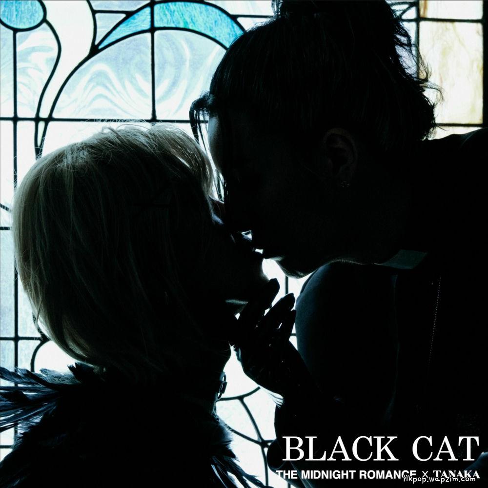 Cover lagu The Midnight Romance - 검은 고양이 (BLACK CAT) (feat. TANAKA) di Wallkpop