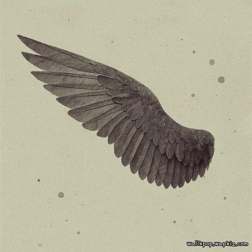 Cover lagu The Stray - 날개 (wing) di Wallkpop