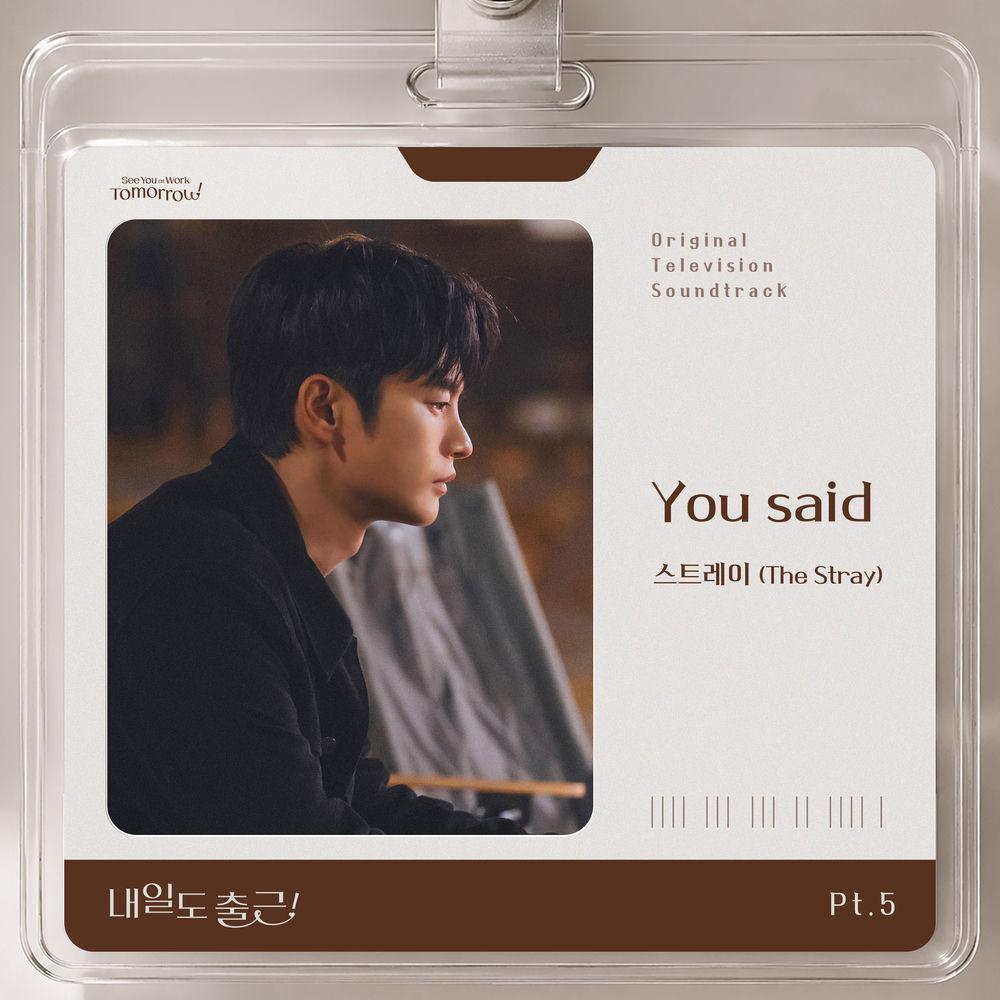Cover lagu The Stray - You said di Wallkpop