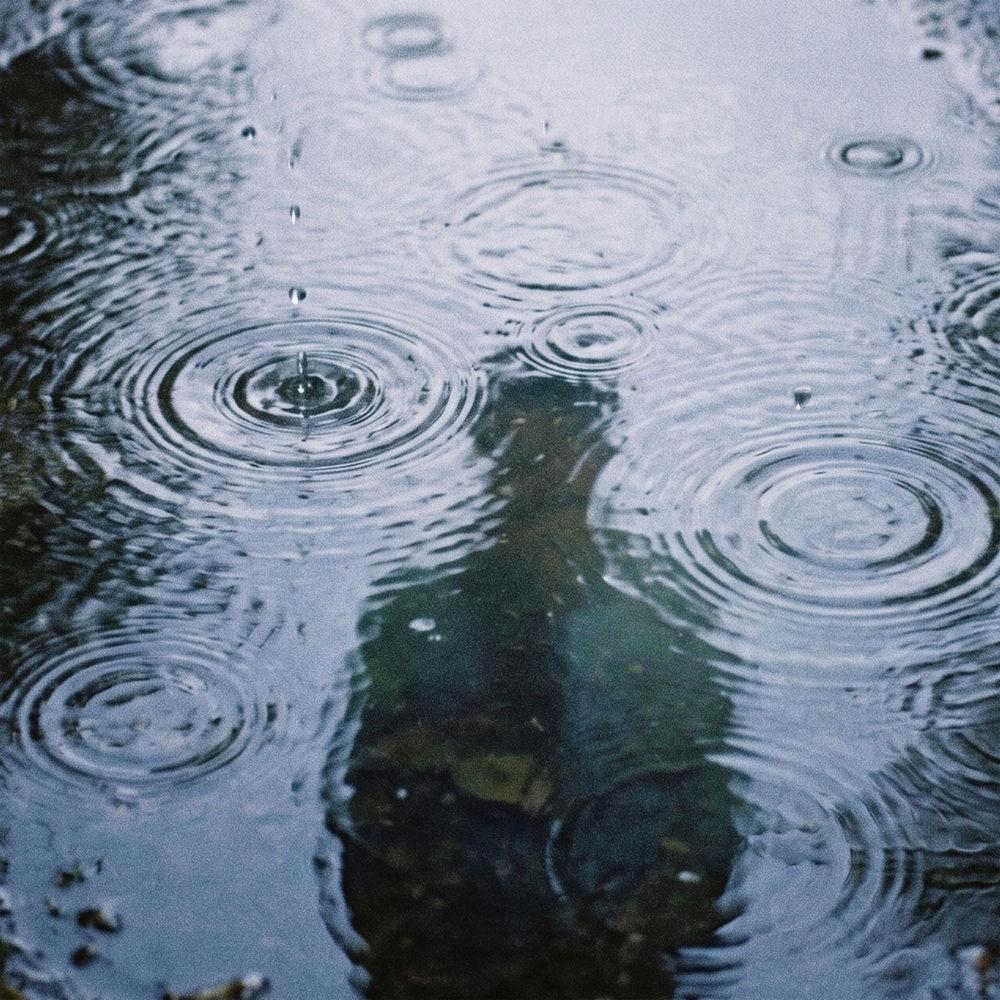 Cover lagu Tmlm & livininyourdream - 비 (Rain) di Wallkpop