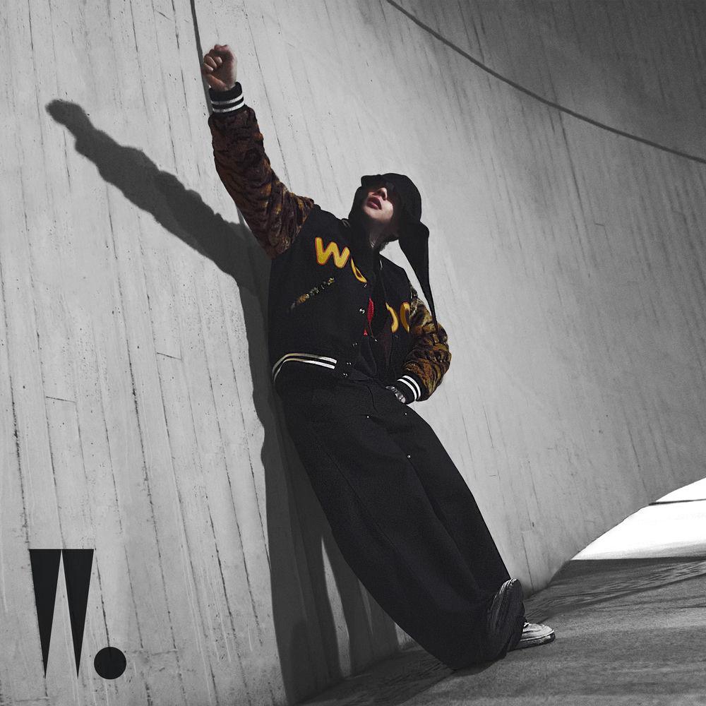 Cover lagu Woo Won Jae - Online Hate di Wallkpop