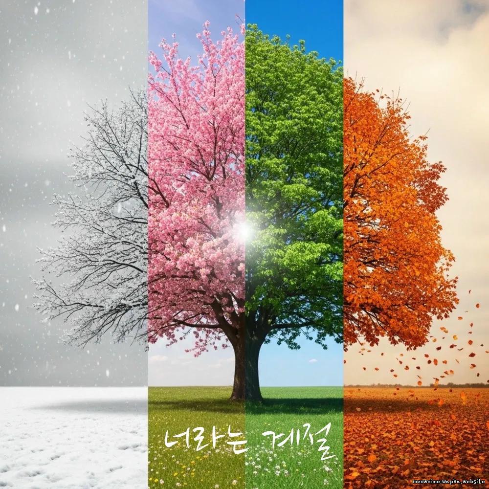 Cover lagu Yang Jung Mo - 너라는 계절 (The Season of You) di Wallkpop